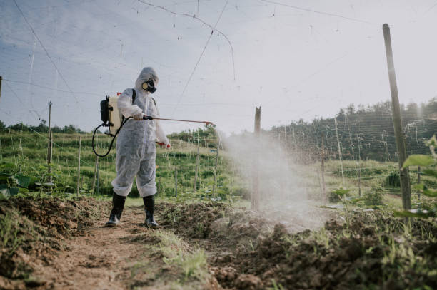 Best Pest Removal Services  in Glen Raven, NC