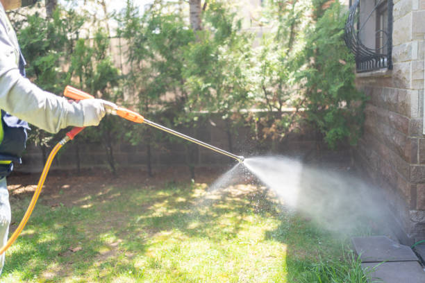 Best Affordable Pest Control Services  in Glen Raven, NC
