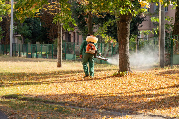 Best Pest Prevention Services  in Glen Raven, NC