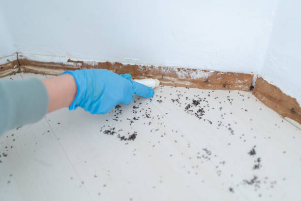 Best Pest Control for Restaurants  in Glen Raven, NC